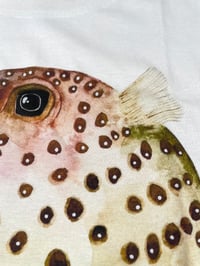 Image 4 of T-shirt PESCE PALLA