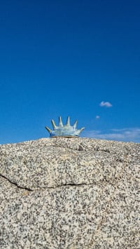 Image 2 of Solar Ring Holder