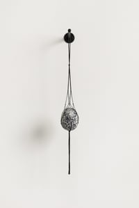 Valerie Piraino / "Marula Study" (After the Last Kingdom in Africa)"