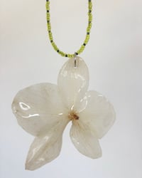 Image 3 of Orquídea en "seed bead" | collares
