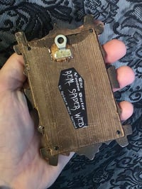 Image 3 of Victorian photocard With Preserved Web in antique wooden frame
