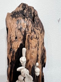 Image 4 of Black & Tan Bouquet- Cara O'Brien