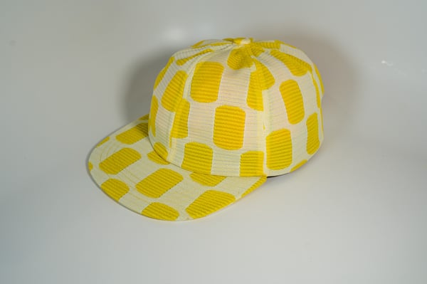 Image of Emmy hat 
