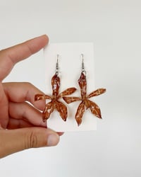 Image 2 of Grammatophyllum | aretes