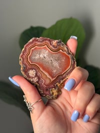 Image 2 of DOUBLE SIDED LAGUNA AGATE SLICE P