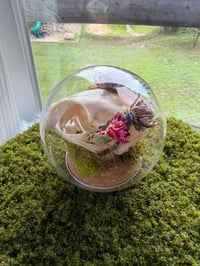 Image 5 of Mossy Rose Quartz Kitty Cloche