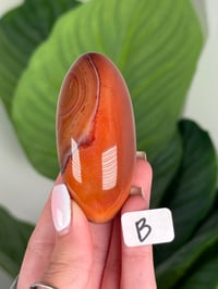 Image 2 of CARNELIAN SHIVAS