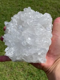 Image 6 of Clear Quartz Points Cluster #1787