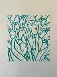 Image 3 of Tulips double No. 1