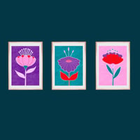 Image 1 of Trois fleurs - Illustrations 13/18cm