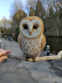 Image 8 of Needle Felted Barn Owl 