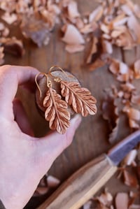 Image 3 of Oak Leaf~Earrings