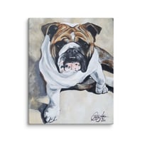Image 1 of English Bulldog