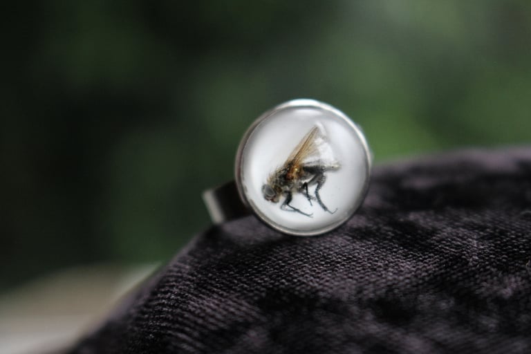 Dead Good naturally deceased Fly ring 2 Image 2