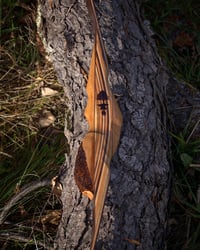 Image 3 of Stanek Custom Bow