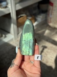 Image 5 of CHOOSE YOUR OWN SMALL LABRADORITE FREEFORM -MADAGASCAR-