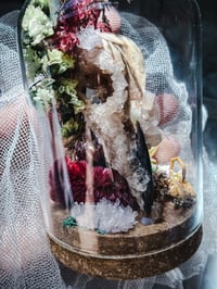 Image 2 of Raven skull 