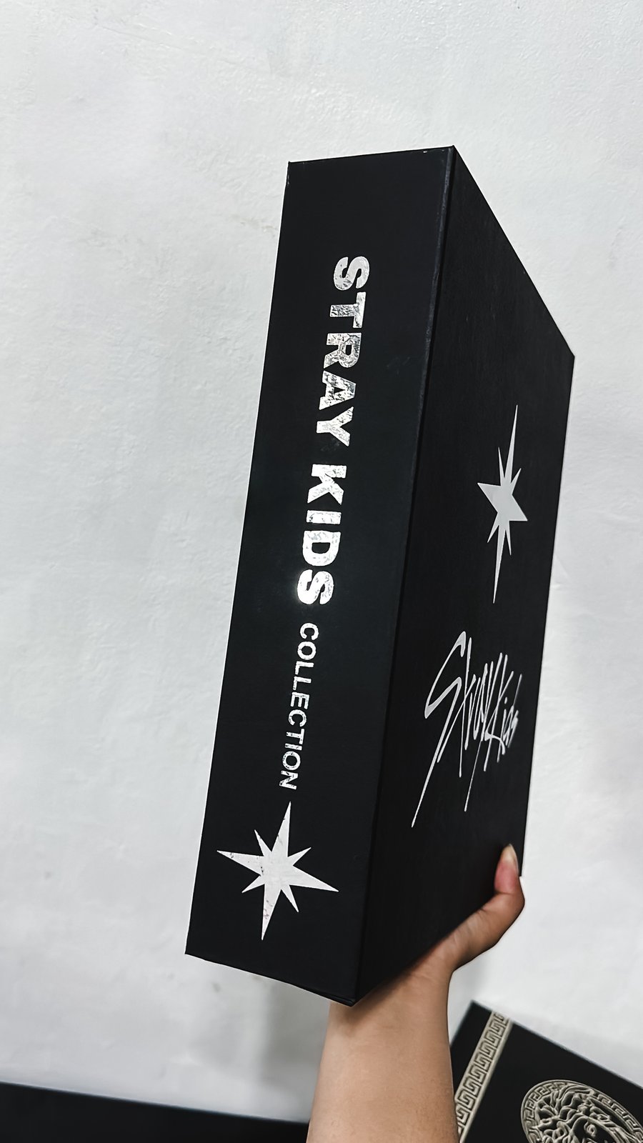 $42 | STRAY KIDS BINDERS BUNDLE | VIVHAVEN