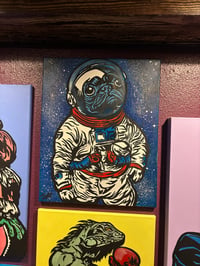 Space Pug