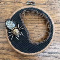 Image 5 of Snake skin spider web (a,  a inches