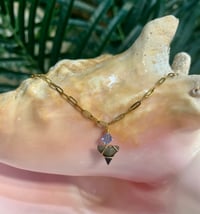 Shark Tooth Necklace ST103