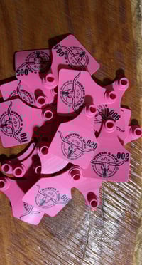 Image 1 of Custom Large Tags 