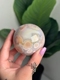 Image 8 of HQ FLOWER AGATE SPHERE -MADAGASCAR- A