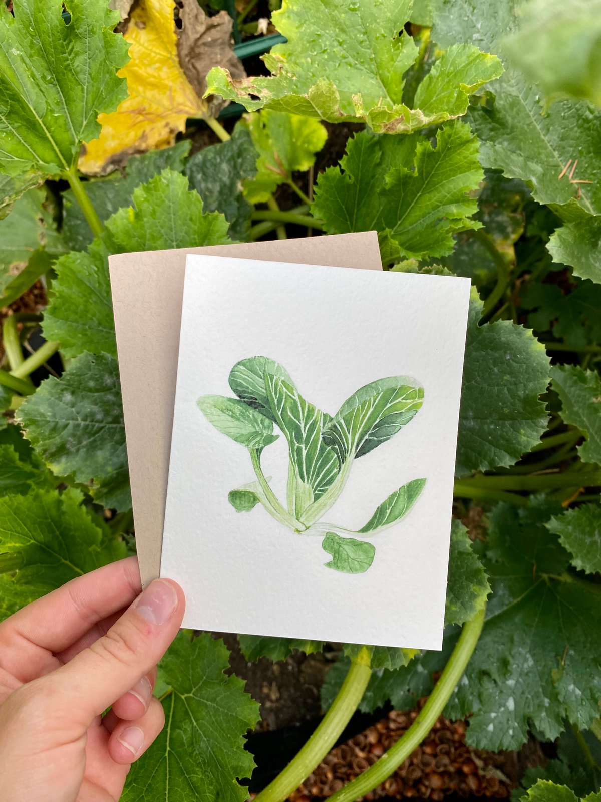 Image of Bok Choy Greeting Card