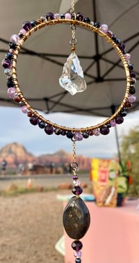 Image 3 of Molly - Orbit