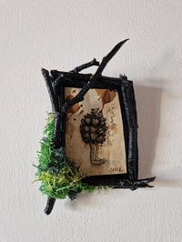 Pineconeman