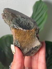 Image 3 of XL HALF POLISHED HIMALAYAN RUTILE IN QUARTZ CLUSTER E