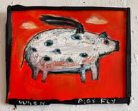 When Pigs Fly 090224