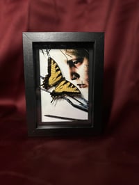 Edward Scissorhands Swallowtail