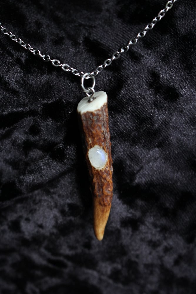 dead good antler and moonstone pendant on long chain Image 2