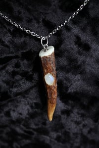 Image 2 of dead good antler and moonstone pendant on long chain