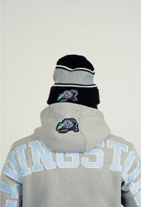 Image 3 of Livingstone “Bear Claw” Hoodie 