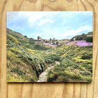 Image 1 of Mark Wyse - 18 Landscapes