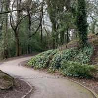 Image 3 of Between the Seasons Walk & Painting Workshop