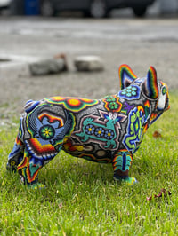Image 3 of Large Frenchie 08