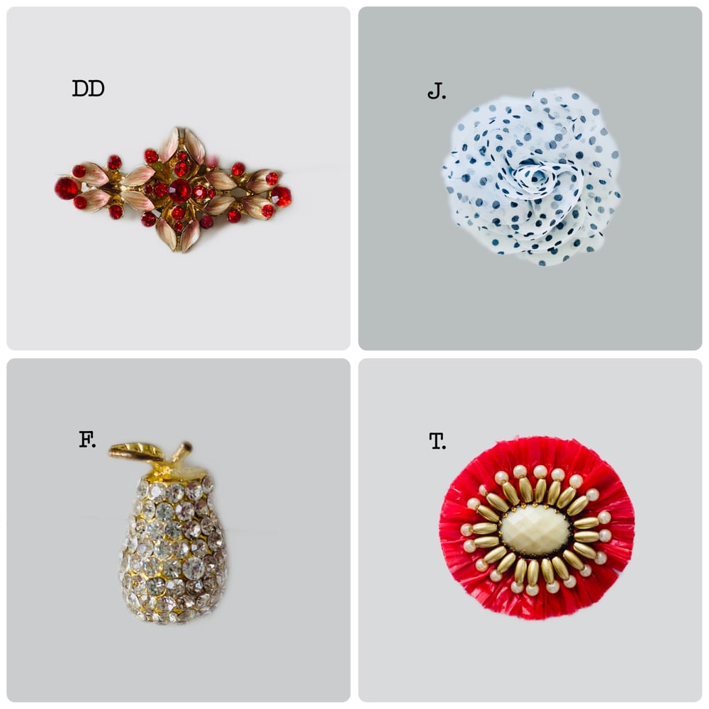 Image of Beautiful Brooches