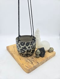 Image 1 of Leopard Hanging Planter
