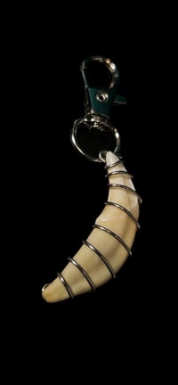 Image 2 of Wire Wrapped Coyote Tooth Keychain
