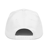 Image 5 of 5 panel cap