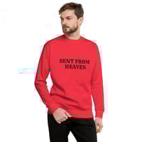 Image 4 of Men/Boys EARTH ANGEL Premium Sweatshirt