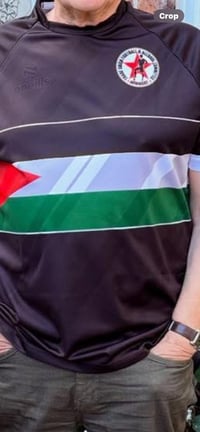 Image 2 of Palestine Football Shirt 