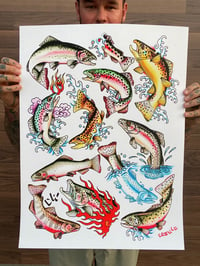 Image 2 of “Big Trout Flash Sheet” 18x24 Print