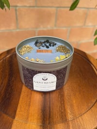 Image 2 of Gato Negro