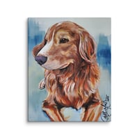 Image 2 of Nova Scotia Retriever