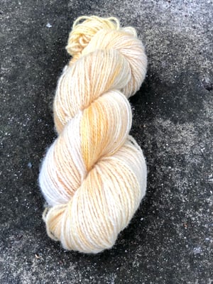 Image of SUNNY DAY, SOLFARVNING plantefarveopskrift