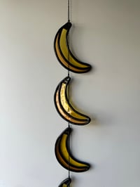 Image 2 of The Bananas